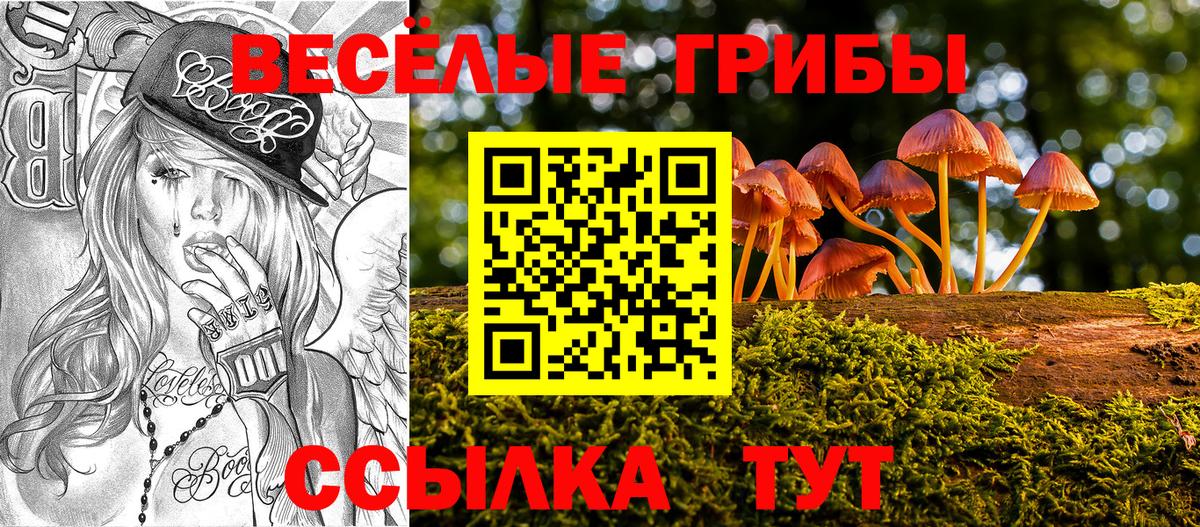 Королёв  Псилоцибиновые грибы GOLDEN TEACHER  Вход с VPN 